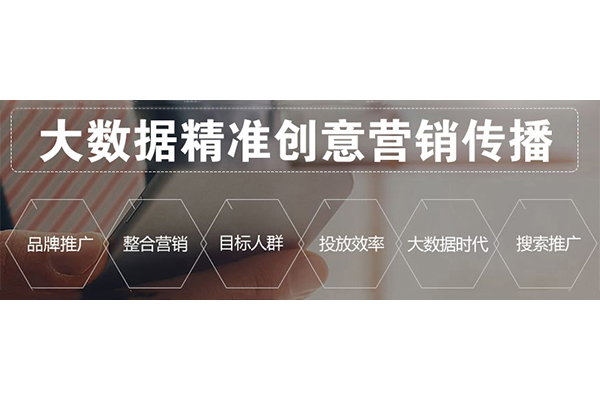 禅城专业网站优化企业