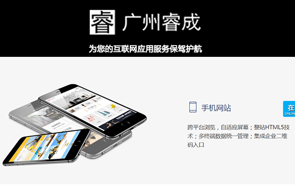 惠州精准网站营销企业